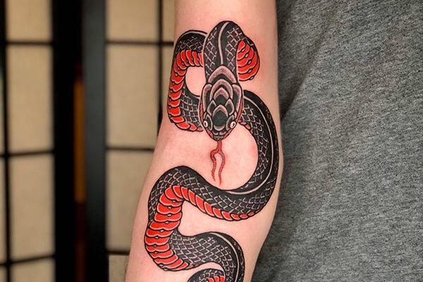Bagia tattoo  Hình xăm rắn thể hiện sự ngang tàn và nổi  Facebook
