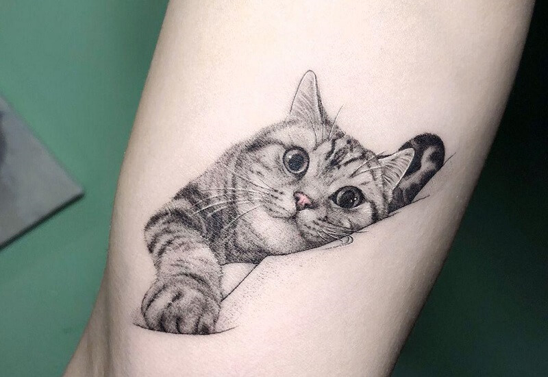 Giảm giá Hình dán tatoo mèo ú cute h15  BeeCost