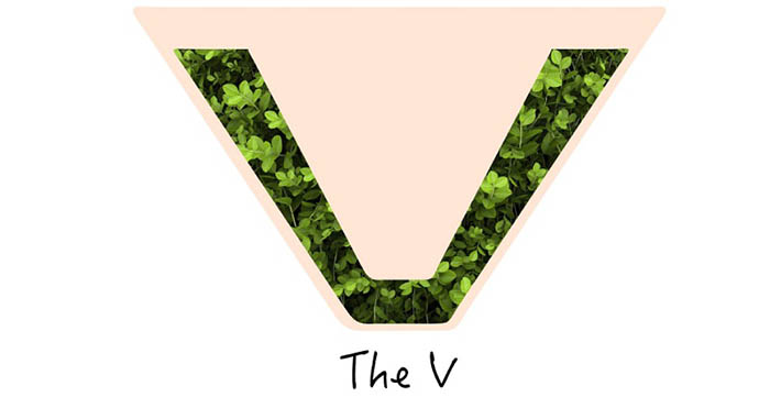 Triệt lông bikini tạo hình kiểu chữ V