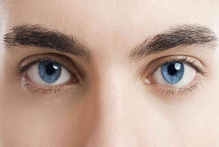 Màu mắt của người có lông mày sâu róm